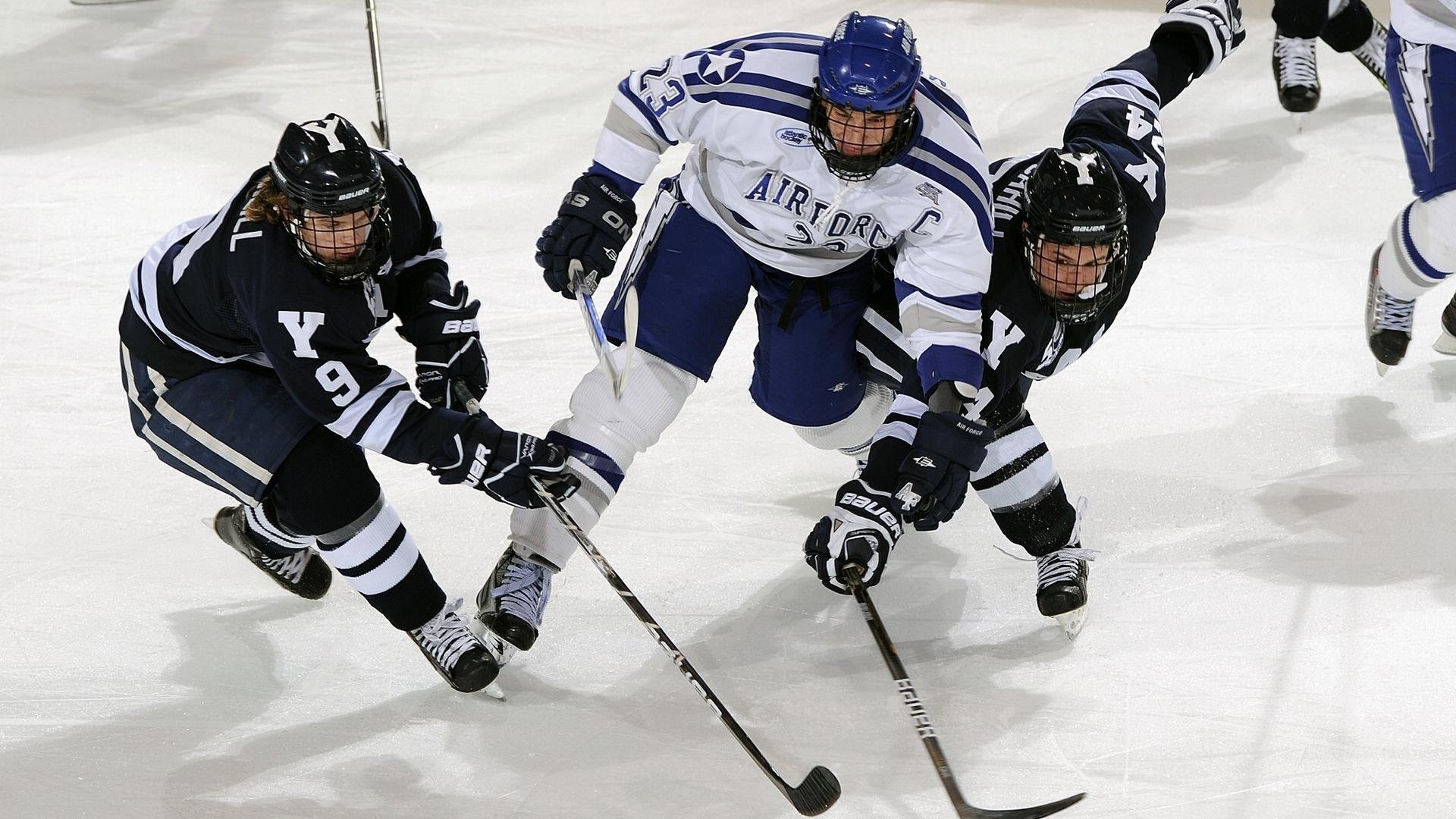 _掘金攻守兼备，战绩不断攀升_，掘金craig