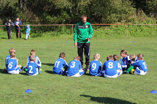 九游官网pc-美洲杯争夺队：攻守兼备，战术百变，美洲杯的比赛